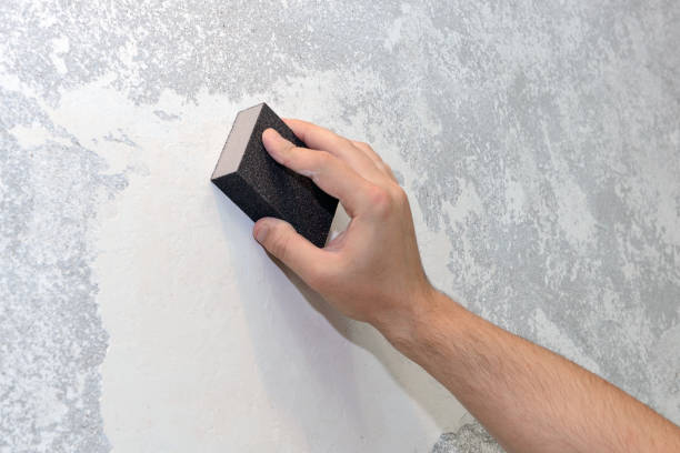 Best Forensic Mold Investigation  in St Marys, PA