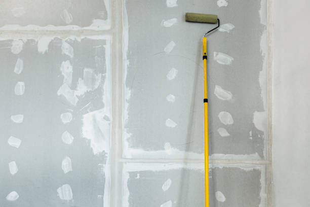 Mold Documentation for Insurance Claims in St Marys, PA