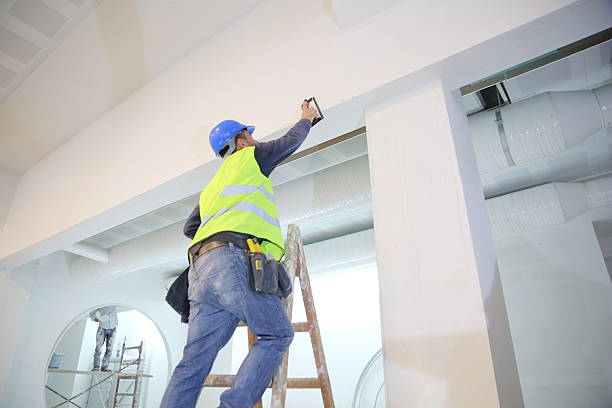 Best Commercial Mold Inspection  in St Marys, PA