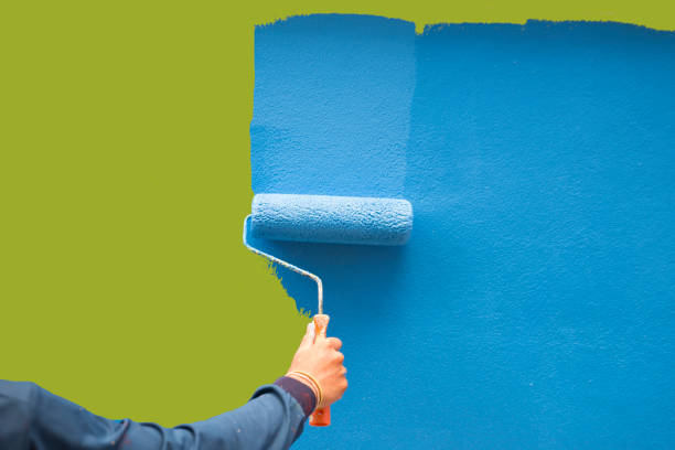 Best Basement Mold Removal  in St Marys, PA